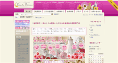 Desktop Screenshot of lunapri.com